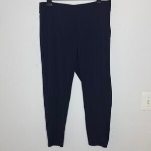 Athleta Brooklyn lot of 2 blue ankle Pants size 12